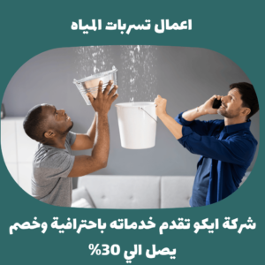 شركة معالجة الرطوبة بالخرج